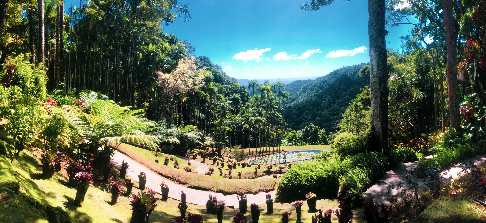 jardins de Balata Martinique